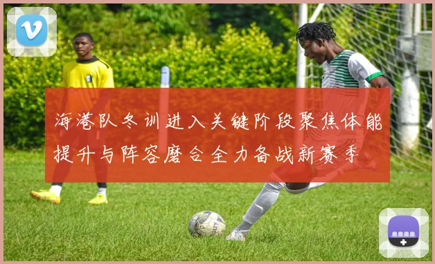 海港队冬训进入关键阶段聚焦体能提升与阵容磨合全力备战新赛季