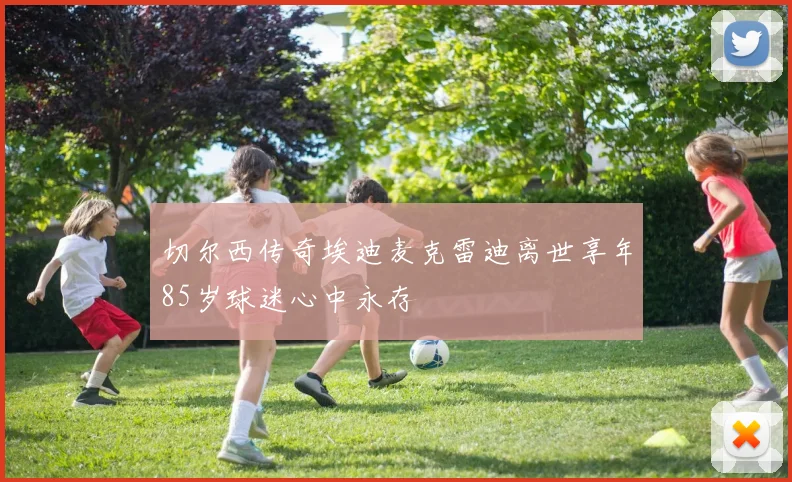 切尔西传奇埃迪麦克雷迪离世享年85岁球迷心中永存